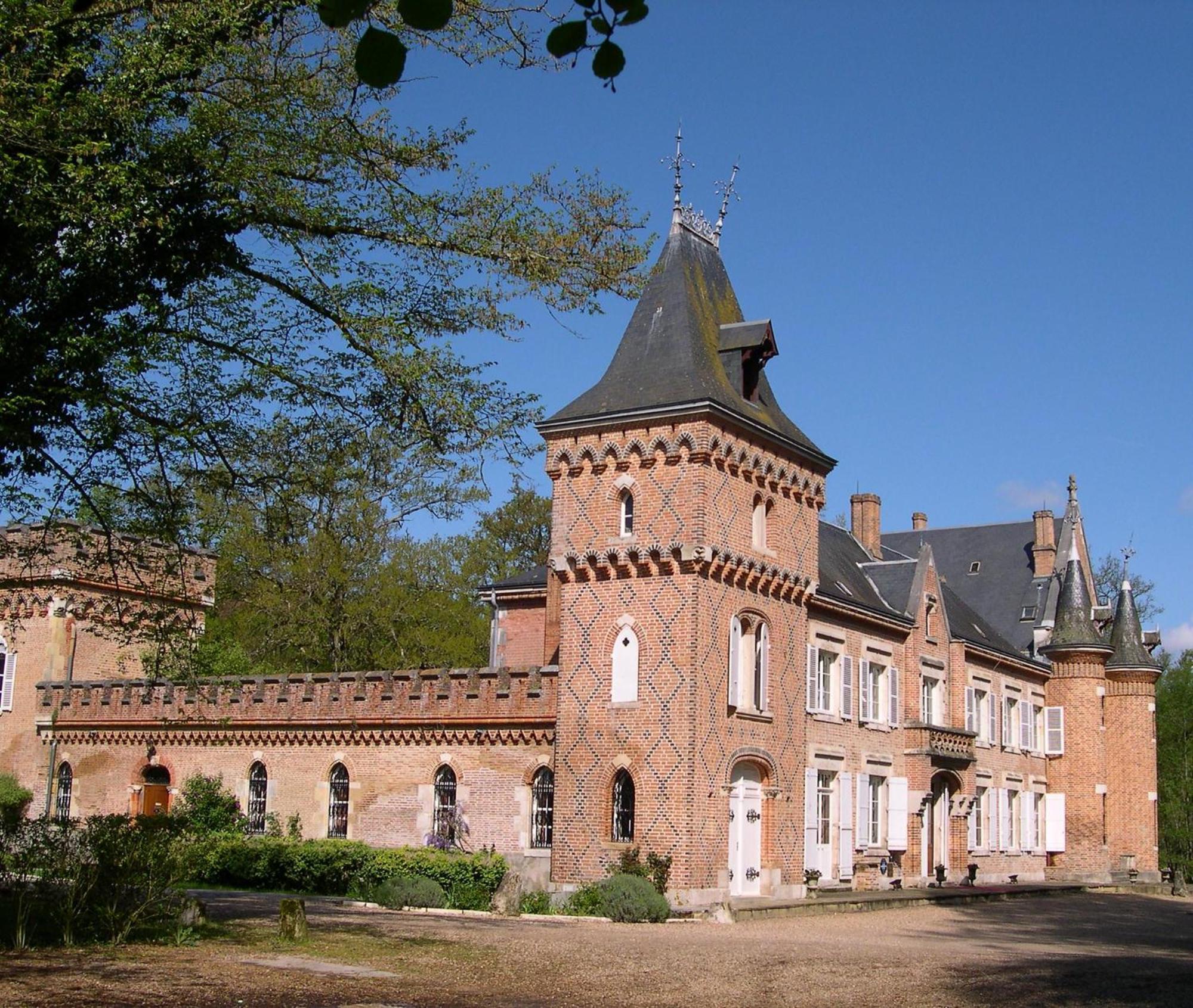 Hostellerie Du Chateau Les Muids La Ferté-Saint-Aubin Esterno foto