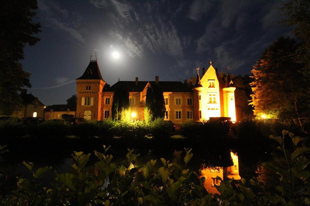 Hostellerie Du Chateau Les Muids La Ferté-Saint-Aubin Esterno foto